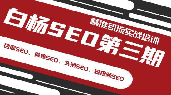 白杨大平台SEO精准引流（百度SEO、微信SEO、头条SEO、短视频SEO）第三期 实战培训内部课程 配图