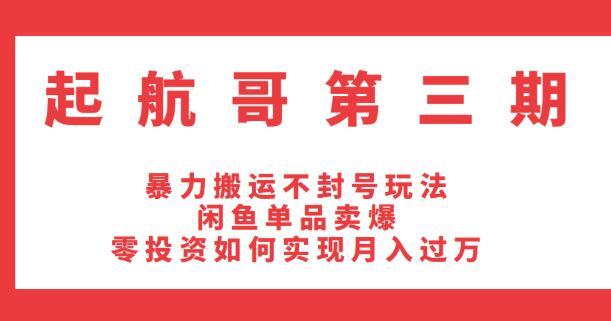 零投入搬运不封号，闲鱼商品卖爆月入过万项目（起航哥第三期培训课程）【视频教程】 配图