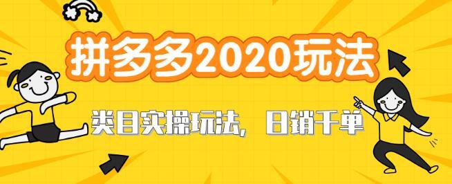 2020拼多多直通车打造新类目爆款玩法，轻松日销千单实战培训【视频教程】 配图