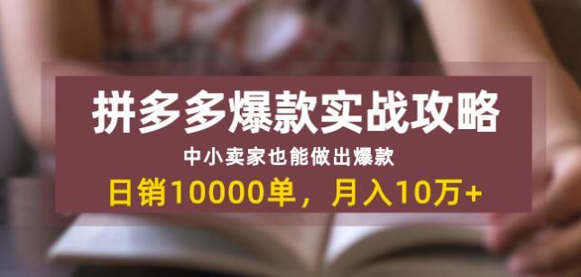 拼多多从入驻到爆款实战，中小卖家也能日销万单，月入10W+【视频教程】 配图