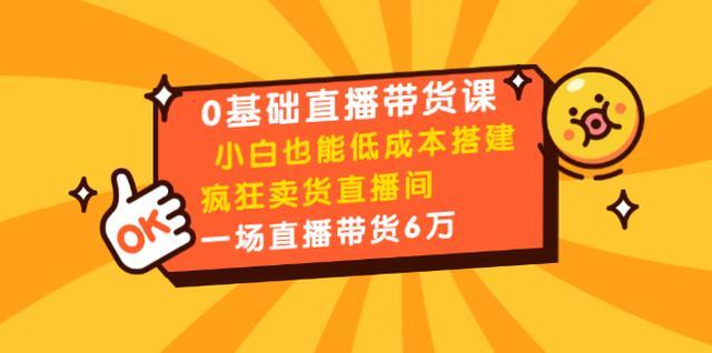 0基础小白直播带货课，低成本打造一场直播带货60万的疯狂卖货直播间【视频教程】 配图